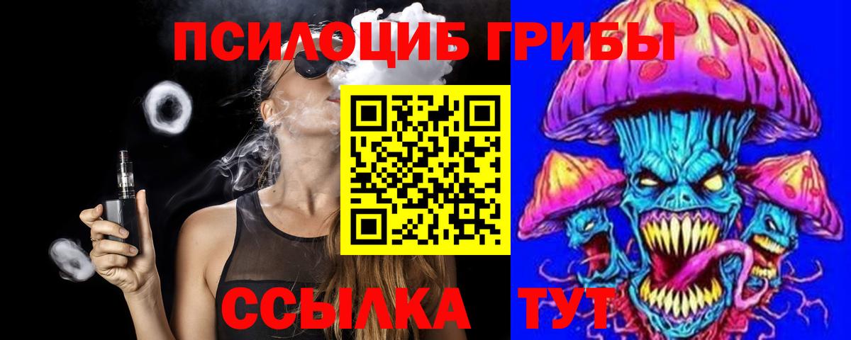 Псилоцибиновые грибы Psilocybine cubensis Чайковский
